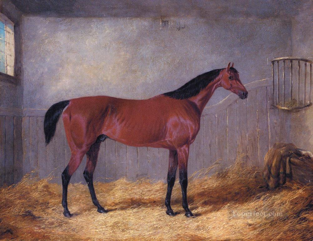 The Duke Of Graftons Bolivar in einem Stall John Frederick Herring Jr Pferd Ölgemälde